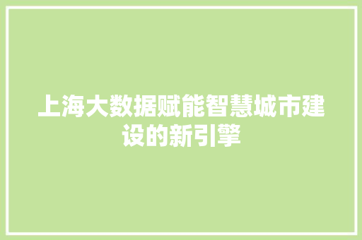 上海大数据赋能智慧城市建设的新引擎