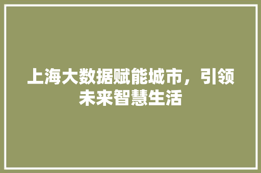 上海大数据赋能城市，引领未来智慧生活