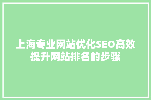 上海专业网站优化SEO高效提升网站排名的步骤  第1张