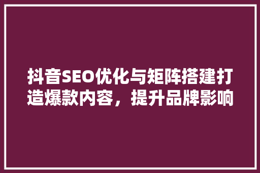 抖音SEO优化与矩阵搭建打造爆款内容，提升品牌影响力的方法  第1张