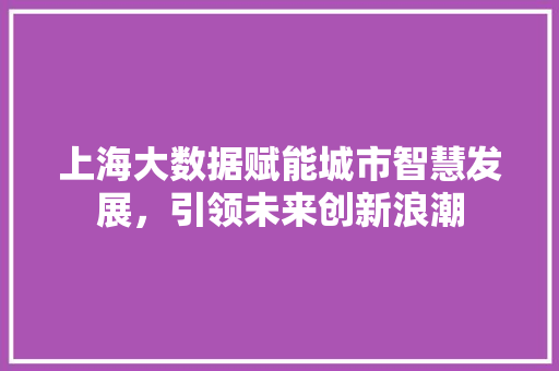 上海大数据赋能城市智慧发展，引领未来创新浪潮
