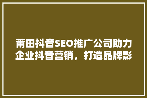 莆田抖音SEO推广公司助力企业抖音营销，打造品牌影响力