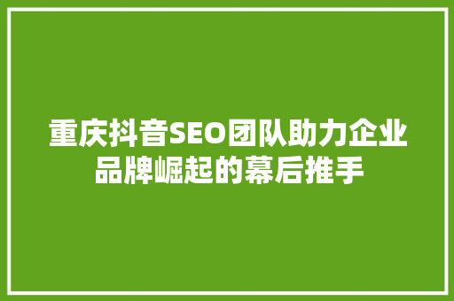 重庆抖音SEO团队助力企业品牌崛起的幕后推手