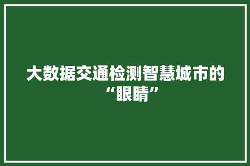 大数据交通检测智慧城市的“眼睛”  第1张
