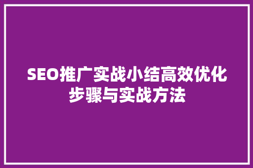 SEO推广实战小结高效优化步骤与实战方法