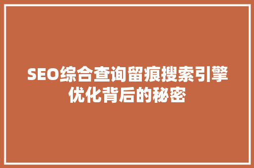 SEO综合查询留痕搜索引擎优化背后的秘密