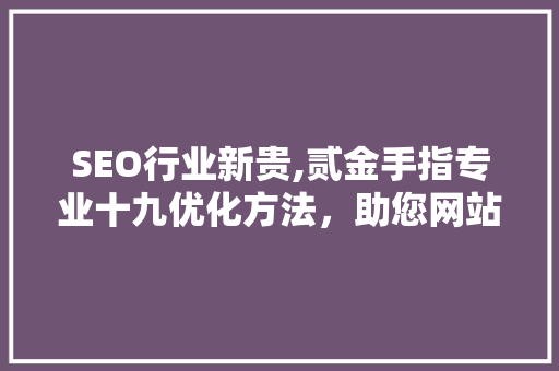 SEO行业新贵,贰金手指专业十九优化方法，助您网站脱颖而出