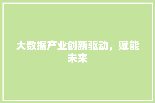 大数据产业创新驱动，赋能未来  第1张