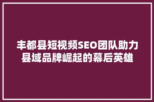 丰都县短视频SEO团队助力县域品牌崛起的幕后英雄