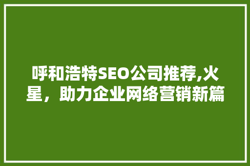 呼和浩特SEO公司推荐,火星，助力企业网络营销新篇章