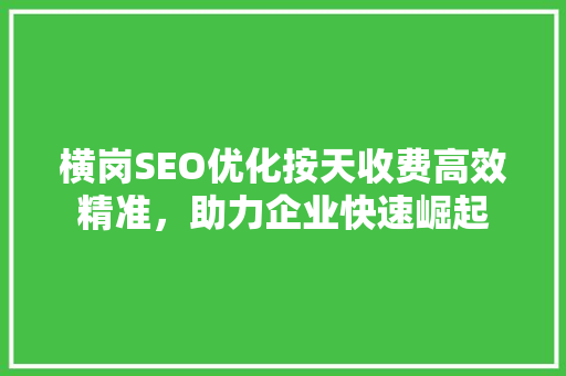 横岗SEO优化按天收费高效精准，助力企业快速崛起  第1张
