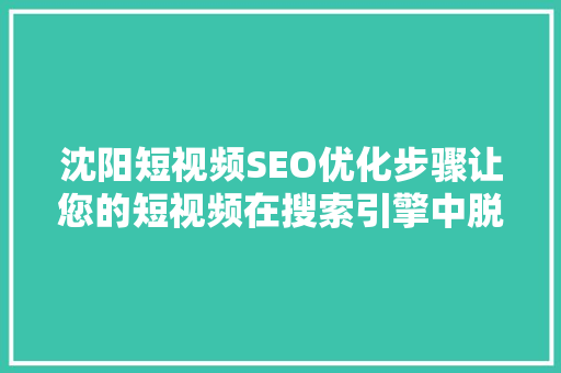沈阳短视频SEO优化步骤让您的短视频在搜索引擎中脱颖而出