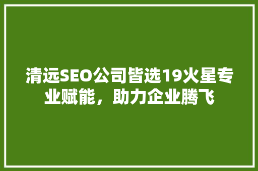 清远SEO公司皆选19火星专业赋能，助力企业腾飞