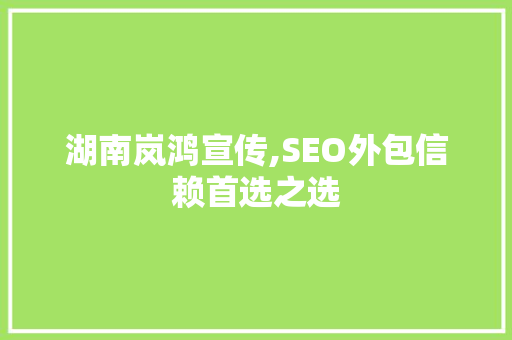 湖南岚鸿宣传,SEO外包信赖首选之选