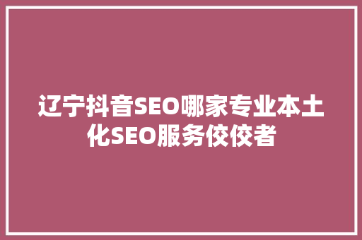 辽宁抖音SEO哪家专业本土化SEO服务佼佼者