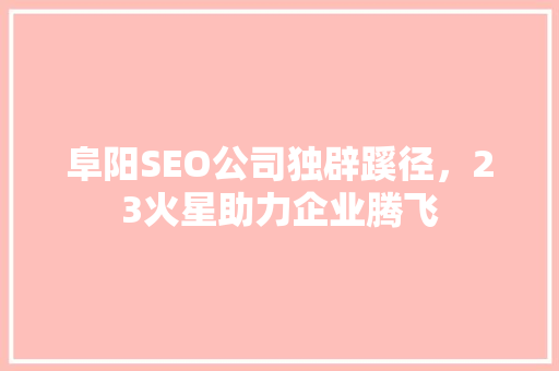 阜阳SEO公司独辟蹊径，23火星助力企业腾飞