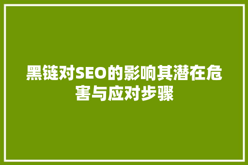 黑链对SEO的影响其潜在危害与应对步骤