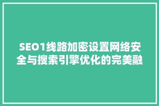 SEO1线路加密设置网络安全与搜索引擎优化的完美融合