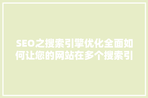 SEO之搜索引擎优化全面如何让您的网站在多个搜索引擎中脱颖而出