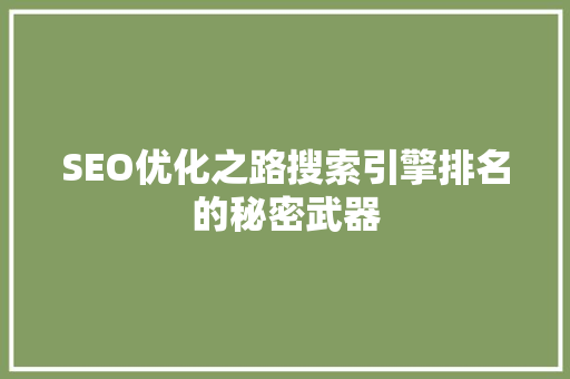 SEO优化之路搜索引擎排名的秘密武器