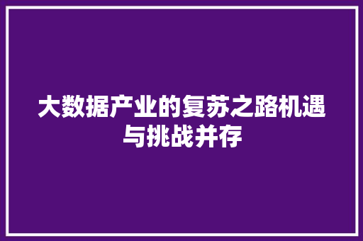 大数据产业的复苏之路机遇与挑战并存  第1张