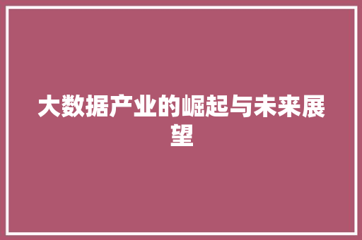 大数据产业的崛起与未来展望  第1张