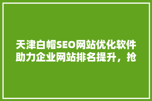 天津白帽SEO网站优化软件助力企业网站排名提升，抢占市场先机