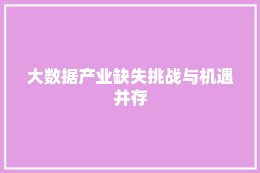 大数据产业缺失挑战与机遇并存  第1张