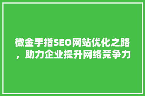 微金手指SEO网站优化之路，助力企业提升网络竞争力