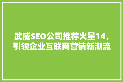 武威SEO公司推荐火星14，引领企业互联网营销新潮流