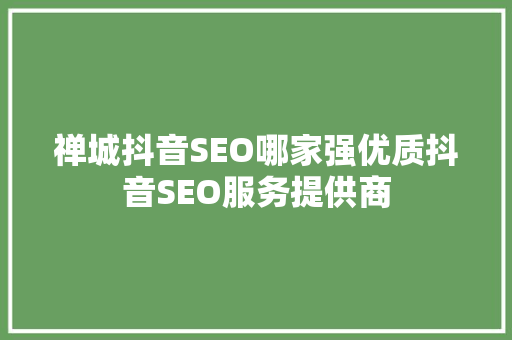禅城抖音SEO哪家强优质抖音SEO服务提供商