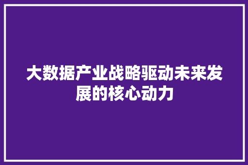 大数据产业战略驱动未来发展的核心动力  第1张