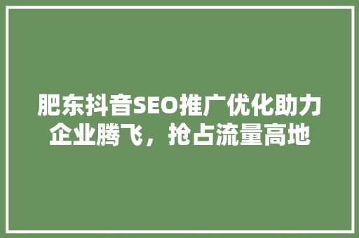 肥东抖音SEO推广优化助力企业腾飞，抢占流量高地