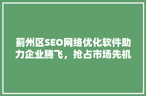 蓟州区SEO网络优化软件助力企业腾飞，抢占市场先机