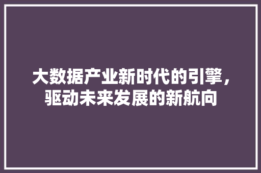 大数据产业新时代的引擎，驱动未来发展的新航向  第1张