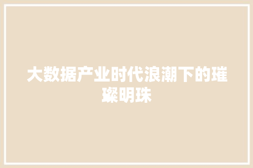 大数据产业时代浪潮下的璀璨明珠  第1张