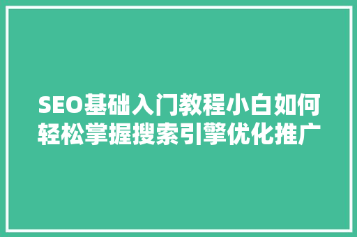 SEO基础入门教程小白如何轻松掌握搜索引擎优化推广