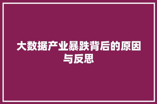大数据产业暴跌背后的原因与反思  第1张