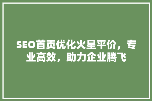 SEO首页优化火星平价，专业高效，助力企业腾飞