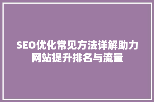 SEO优化常见方法详解助力网站提升排名与流量  第1张