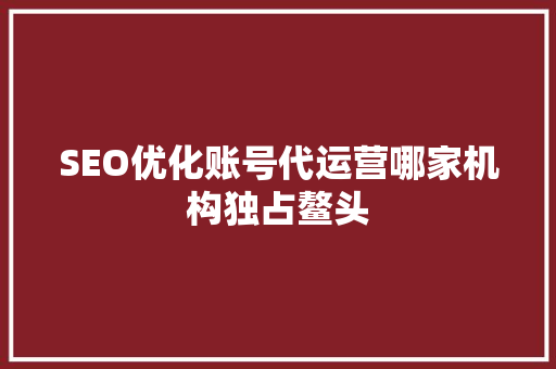 SEO优化账号代运营哪家机构独占鳌头  第1张