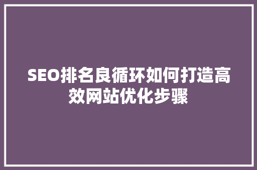 SEO排名良循环如何打造高效网站优化步骤