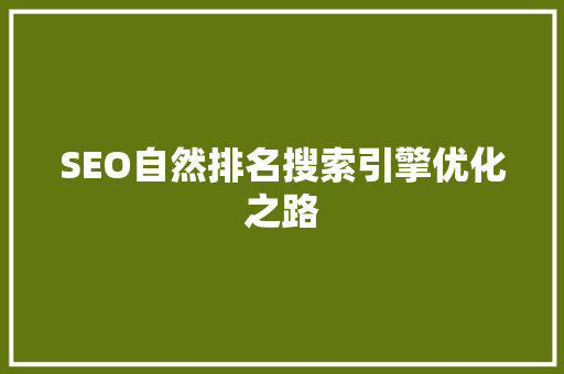 SEO自然排名搜索引擎优化之路