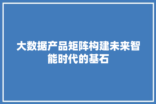 大数据产品矩阵构建未来智能时代的基石  第1张