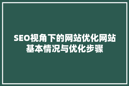 SEO视角下的网站优化网站基本情况与优化步骤