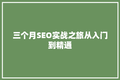 三个月SEO实战之旅从入门到精通