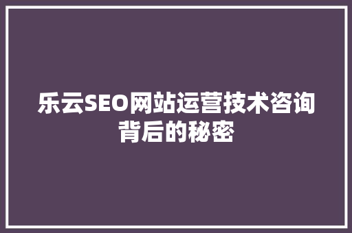 乐云SEO网站运营技术咨询背后的秘密