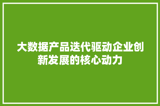 大数据产品迭代驱动企业创新发展的核心动力