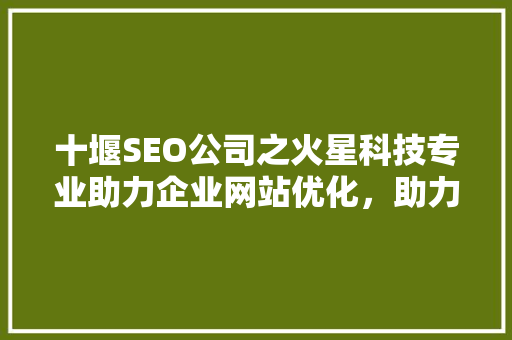 十堰SEO公司之火星科技专业助力企业网站优化，助力企业腾飞