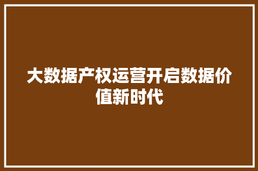 大数据产权运营开启数据价值新时代